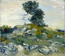 De rotsen - Vincent van Gogh